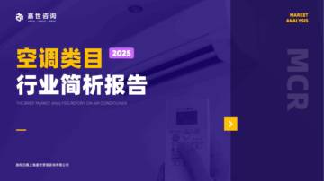 2025空调类目行业简析报告.pdf