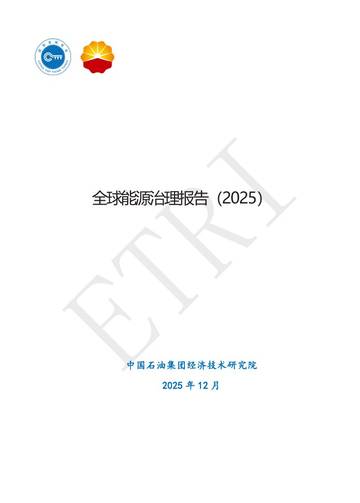 全球能源治理报告2025.pdf