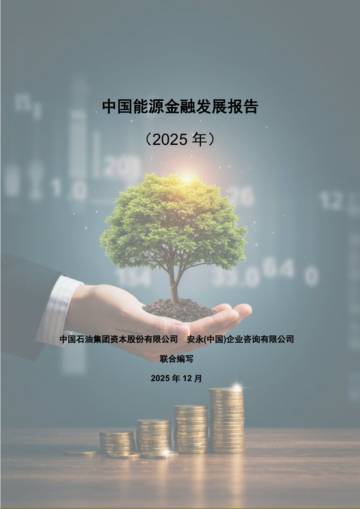 中国能源金融发展报告（2025年）.pdf