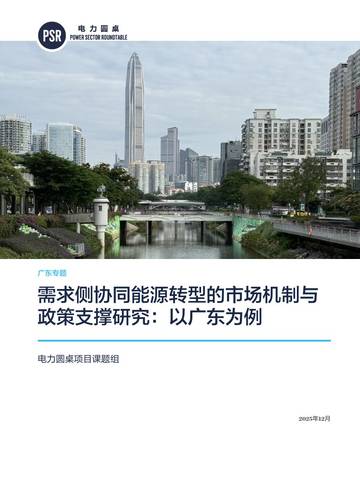 2025年需求侧协同能源转型的市场机制与政策支撑研究报告：以广东为例.pdf