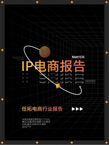2025年IP电商报告.pdf
