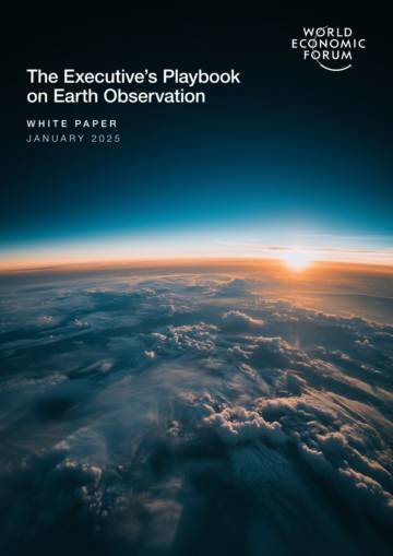 地球观测高管手册：为不断变化的地球提供的战略洞见（英文）.pdf