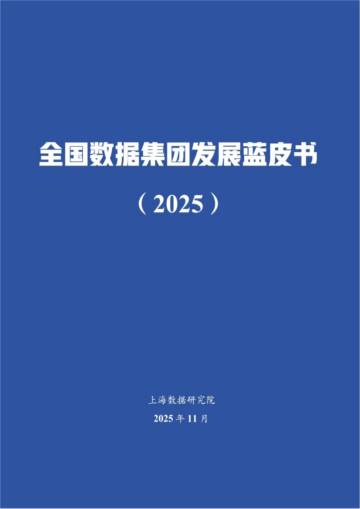 全国数据集团发展蓝皮书（2025）.pdf