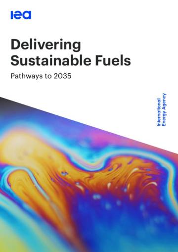 可持续燃料供应：2035年发展路径图（英文）.pdf