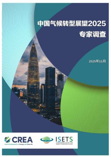 2025年中国气候转型展望—专家调查.pdf