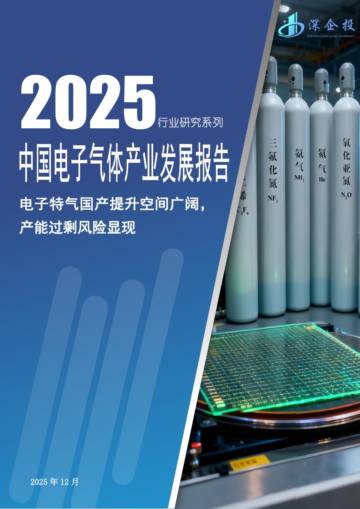 2025中国电子气体产业发展报告-电子特气国产提升空间广阔-产能过剩风险显现.pdf