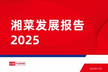 2025湘菜发展报告.pdf