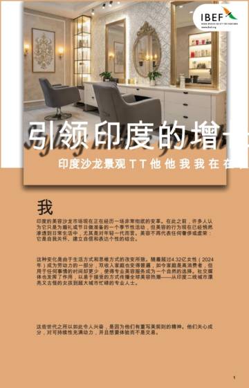 印度沙龙景观：引领印度的增长.pdf