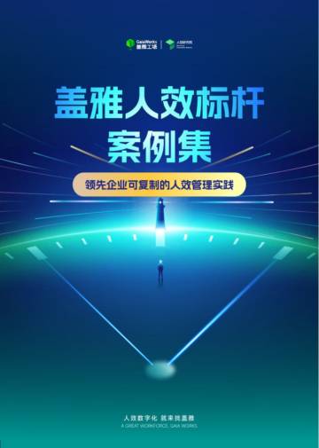 2025年人效标杆案例集.pdf