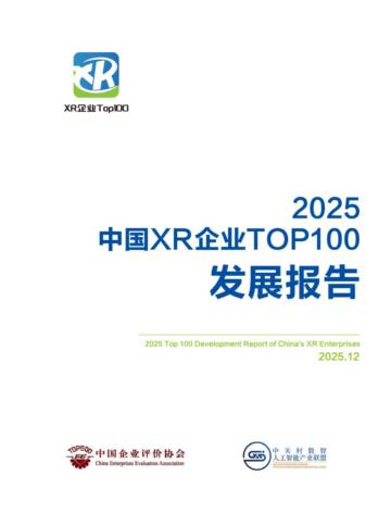 2025年中国XR企业TOP100发展报告.pdf