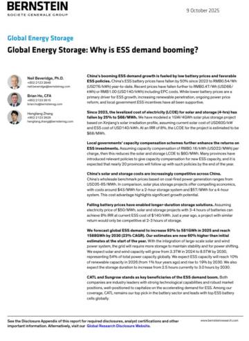全球能源存储：为何储能需求激增（英文）.pdf