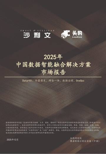 2025年中国数据智能融合解决方案市场报告.pdf