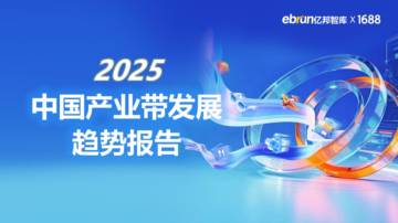 2025中国产业带发展趋势报告.pdf