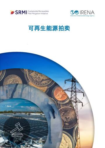 可再生能源拍卖.pdf