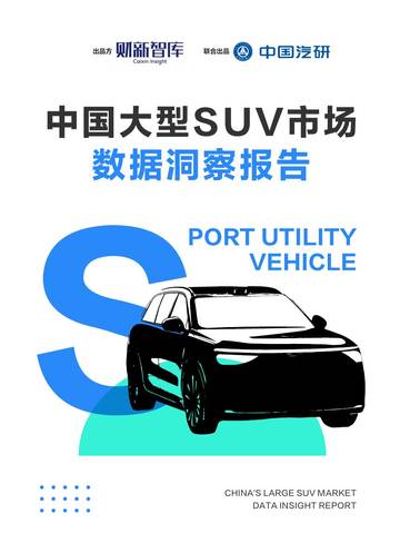 中国大型SUV市场数据洞察报告.pdf