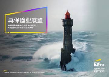 2026年再保险业展望报告.pdf