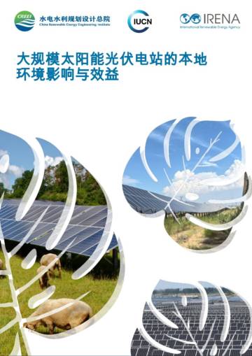 2025年大规模太阳能光伏电站的本地环境影响与效益报告.pdf
