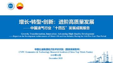 增长·转型·创新：进阶高质量发展——中国油气行业“十四五”发展成就报告.pdf