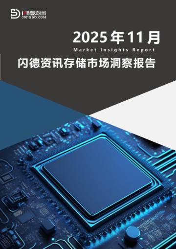 存储市场洞察报告 2025年11月.pdf