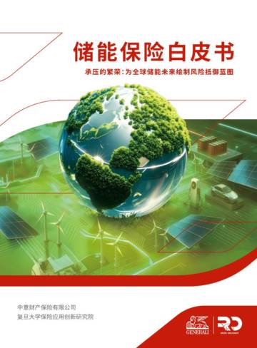 储能保险白皮书.pdf