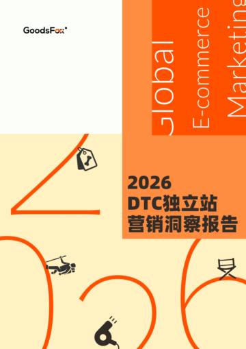 2026年全球DTC独立站营销洞察报告.pdf