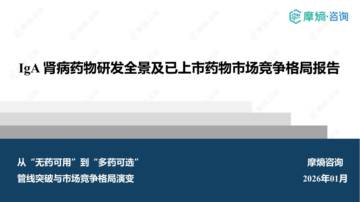 IgA肾病药物研发全景及已上市药物市场竞争格局报告.pdf