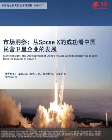 市场洞察：从Spcae X的成功看中国民营卫星企业的发展.pdf