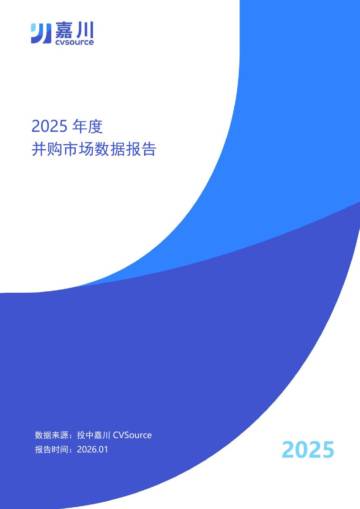 2025年度并购市场数据报告.pdf