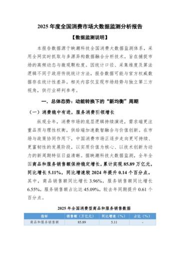 2025年度全国消费市场大数据监测分析报告.pdf