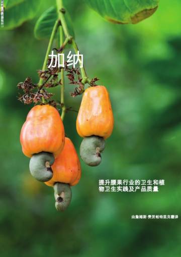 提升腰果行业的卫生和植物卫生实践及产品质量.pdf