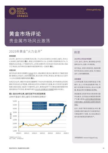 黄金市场评论：贵金属市场风云激荡.pdf
