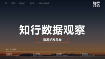 2025年洗发护发品类观察报告.pdf