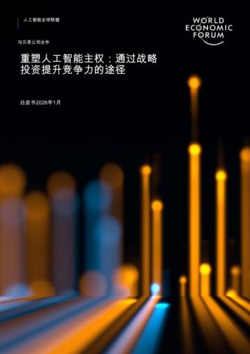 重塑人工智能主权：通过战略投资提升竞争力的途径.pdf