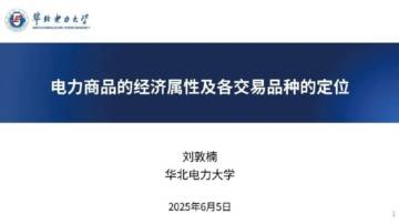 电力商品的经济属性及各交易品种的定位.pdf
