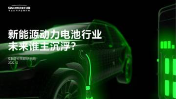 GSI增长策略研究院：中国动力电池未来行业谁主沉浮？.pdf