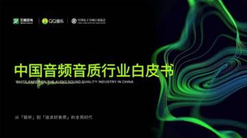 中国音频音质行业白皮书.pdf