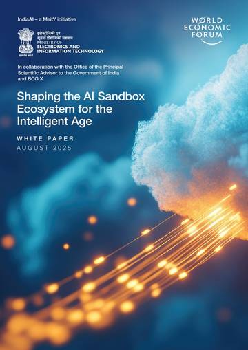 塑造智能时代的AI沙盒生态系统（英文）.pdf