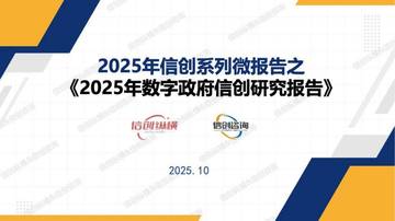 2025年数字政府信创研究报告.pdf