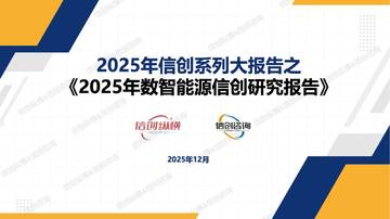 2025年数智能源信创研究报告.pdf