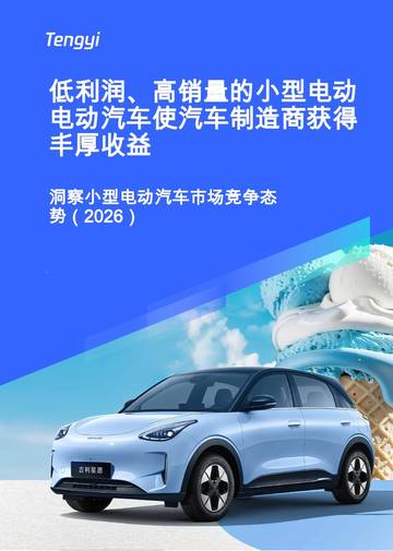 洞察小型电动汽车市场竞争态势（2026）-低利润、高销量的小型电动电动汽车使汽车制造商获得丰厚收益.pdf