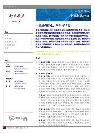 中国担保行业，2026年2月.pdf