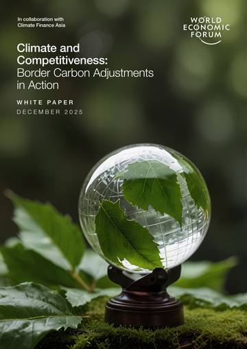 从碳定价到碳边境：企业战略与全球供应链的再平衡（英文）.pdf