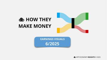 一图看清37家公司经营模式：财务报表桑基图（2025年6月版）（英）.pdf