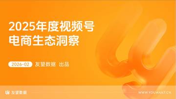 2025年度视频号电商生态洞察报告.pdf
