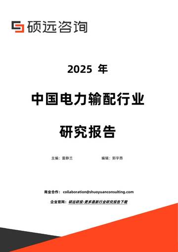 2025年中国电力输配行业研究报告.pdf