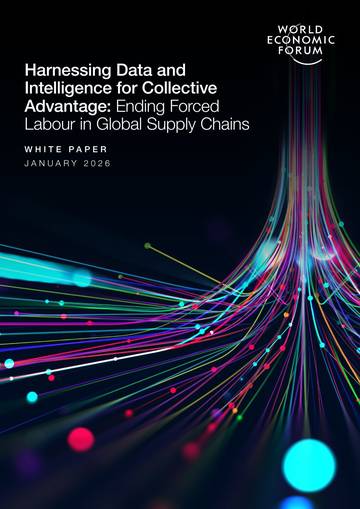 以数据与智能重塑全球供应链治理：打破强迫劳动的碎片化困局（英文）.pdf