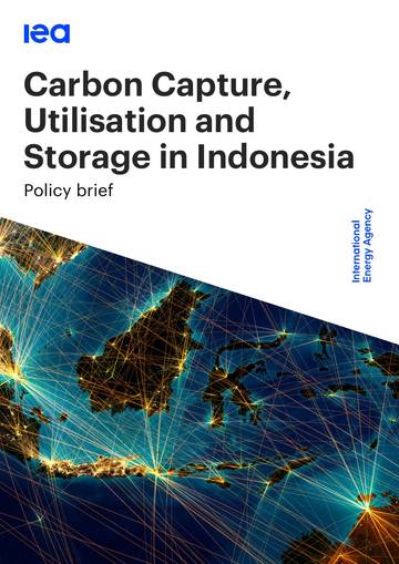 印度尼西亚的碳捕获、利用和封存（英文）.pdf