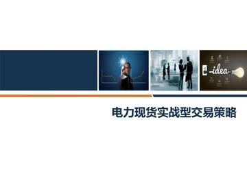 电力现货实战型交易策略.pdf