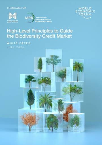 指导生物多样性信贷市场的高级原则（英文）.pdf
