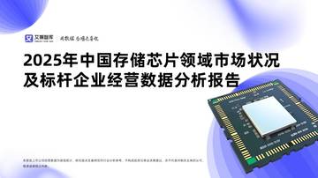 2025年中国存储芯片领域市场状况及标杆企业经营数据分析报告.pdf